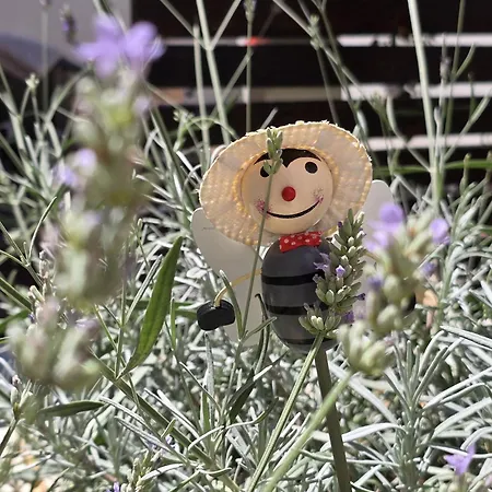 Olea Premium 公寓 *