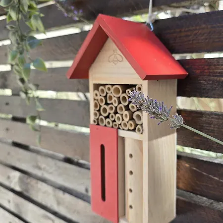 Lägenhet Olea Premium Zadar