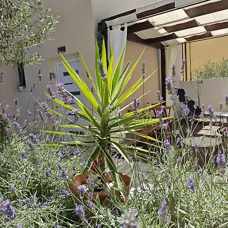 Appartement Olea Premium Zadar