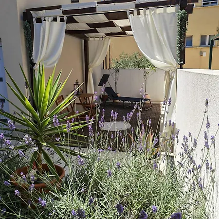 Olea Premium * Zadar