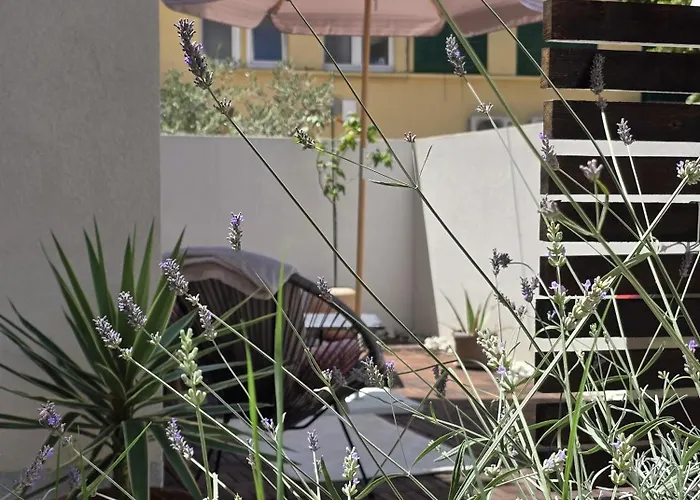 Olea Premium Appartement Zadar